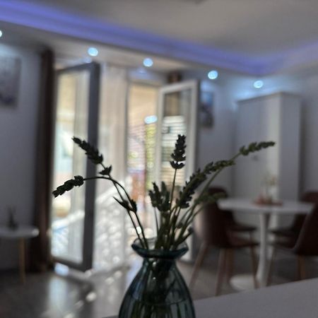 Luxury Apartman Nr 希贝尼克 外观 照片