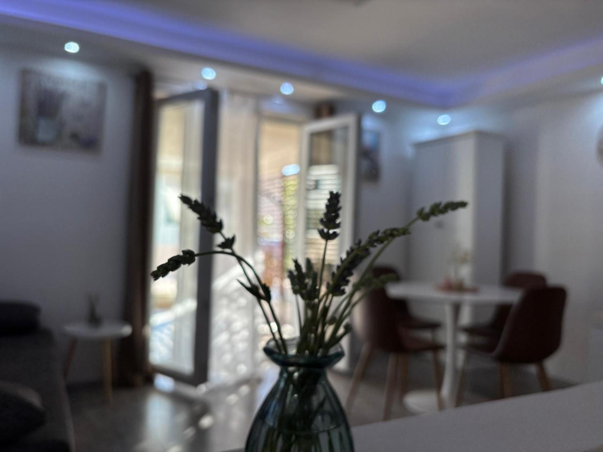 Luxury Apartman Nr 希贝尼克 外观 照片